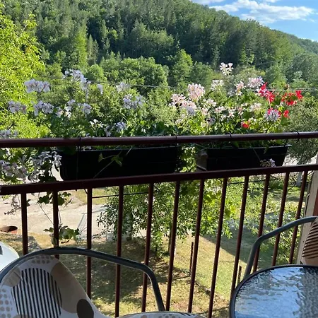 Apartment Mokra Gora Central Apartments *