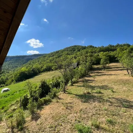 Apartment Mokra Gora Central Apartments *