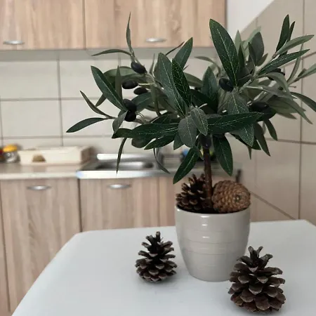 Apartment Mokra Gora Central Apartments