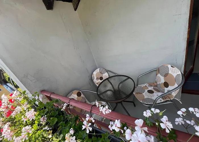 Mokra Gora Central Apartments