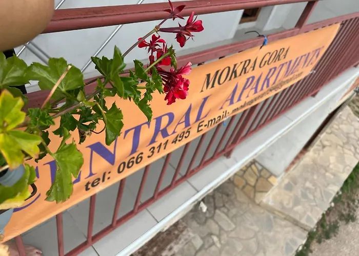 شقة Mokra Gora Central Apartments *